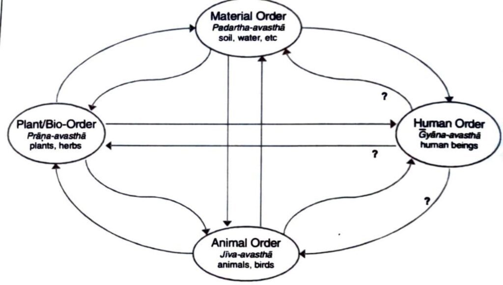 Four Orders in nature Material Order Plant/Bio Order Animal Order Human Order