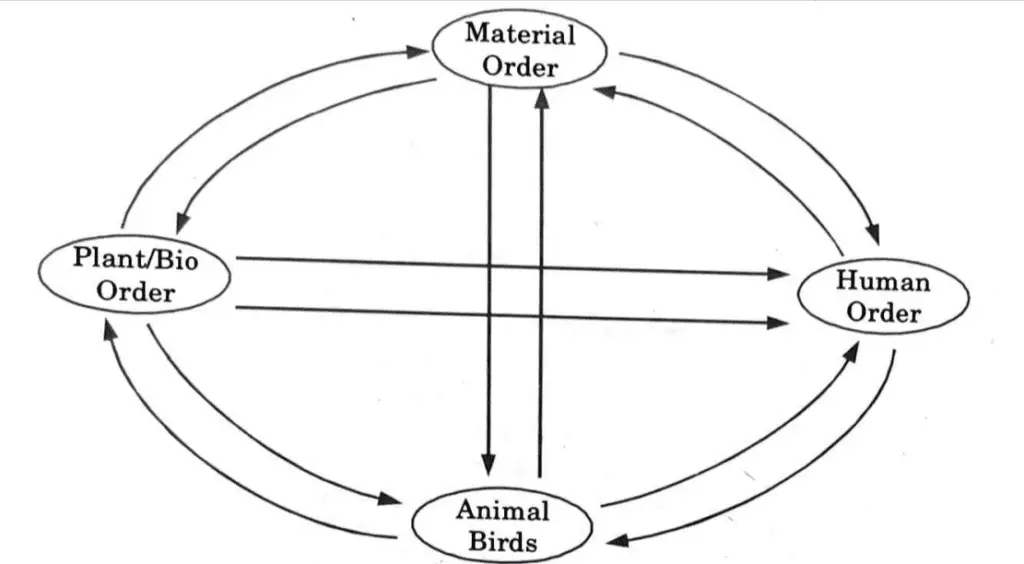 fulfillment of human order with the other three orders in Universal Human Value's Important Questions