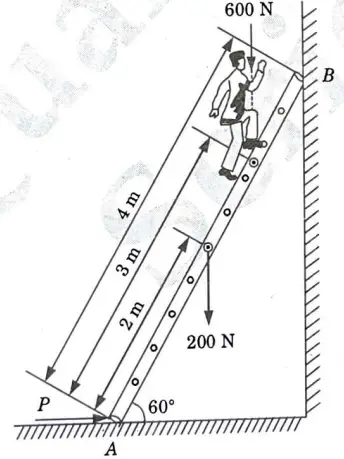 A ladder of length 4 m weighing 200 N is placed against a vertical wall, as shown in given Fig. 15. The coefficient of friction between the wall and the ladder is 0.2 and that between the ladder and the floor is 0.3.