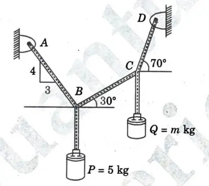 Block Pof mass 5 kg and block Q of mass 'm' kg are suspended through the chord, which is in the equilibrium position, as shown in given Fig. 25. Determine the mass of block Q