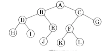 A binary tree with 12 vertices:  Unit 5 TREES, GRAPHS & COMBINATORICS, Discrete Structure Btech AKTU