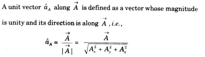  Define unit vector.