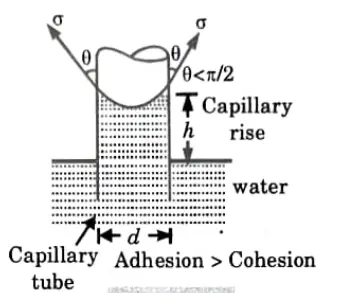 What is capillarity ? What is its significance in fluid flow problems?