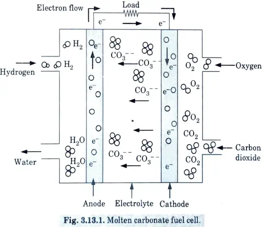 Explain the working of molten carbonate fuel cells using appropriate diagram and write various chemical reactions