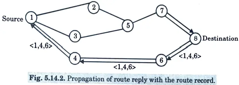 Explain the process of path discovery and path maintenance in DSR routing protocols. 