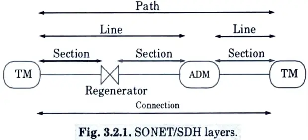 Describe path, line, section and physical layers in SONET layer