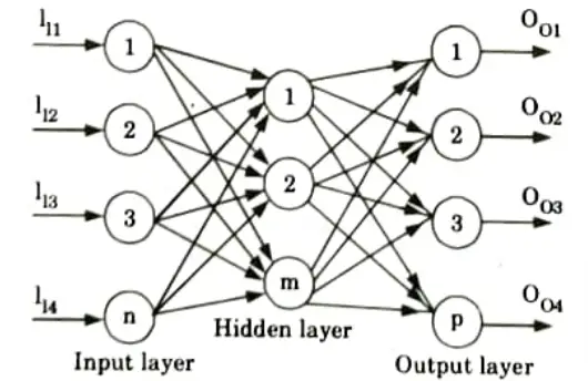 What is multilayer perceptron? How is different from single layer perceptron