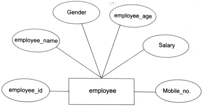 Give detail of various design components which are used to prepare ER model. 