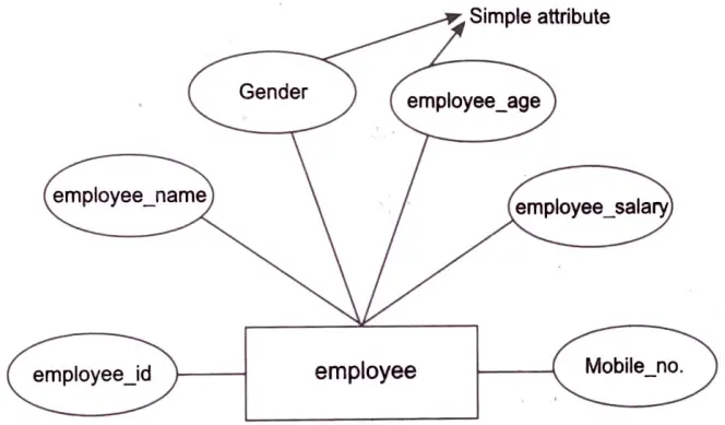 Give detail of various design components which are used to prepare ER model. 