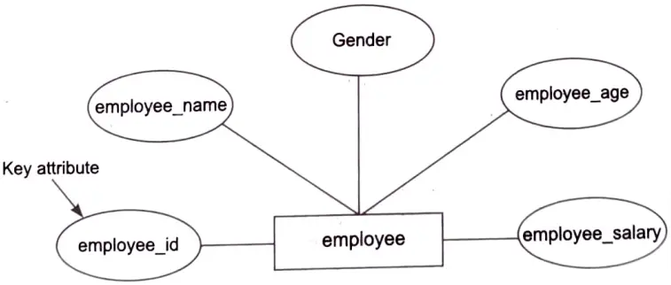 Give detail of various design components which are used to prepare ER model. 