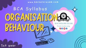 BCA Organisation Behaviour 1st Year Syllabus Notes Pdf