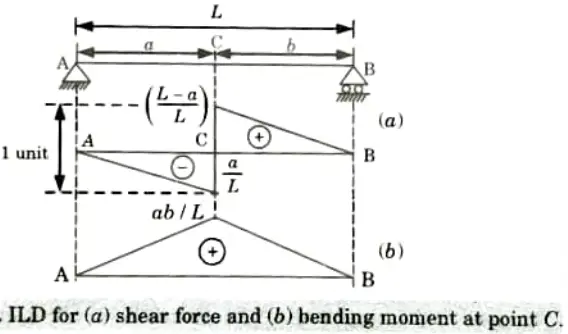 Draw the ILD of shear force and bending moment for simply supported beam at any section.