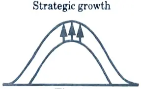 Discuss strategic load growth.
