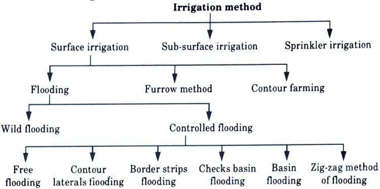 List various methods of irrigation.