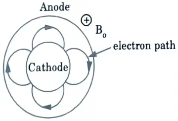 Draw and explain the trajectory of electron moving from cathode to anode if Hull magnetic field is applied in magnetron. 