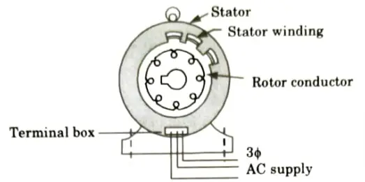 Give the constructional details about three phase induction motor. Which types of rotor are used in 3ɸ induction motor? Electrical Machines-II