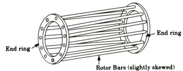 Give the constructional details about three phase induction motor. Which types of rotor are used in 3ɸ induction motor? Btech