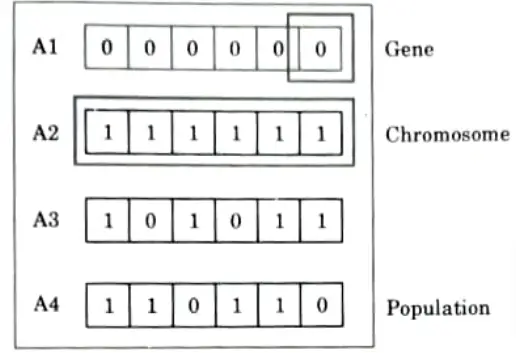 Explain different phases of genetic algorithm. Machine Learning Techniques