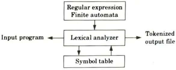 Explain the implementation of lexical analyzer. Compiler Design