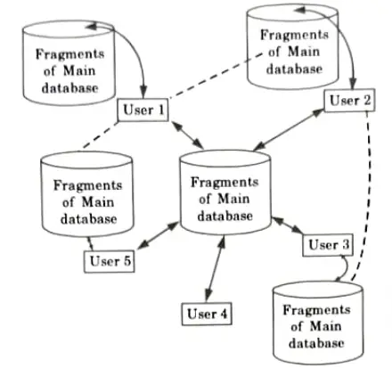 What is distributed databases ? Database Management System