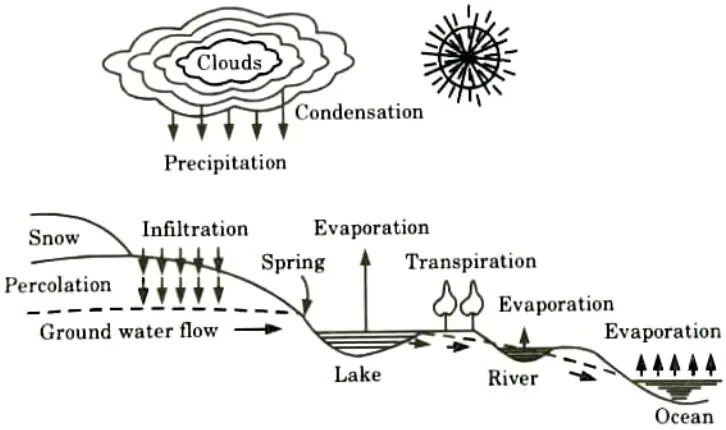 What is meant by hydrological cycle ? How can the parameters of the cycle be written in an equation form ? Draw a neat diagram to illustrate your answer. Engineering Hydrology