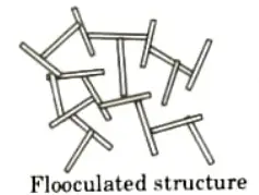 3. Flocculated structure. Aktu Btech