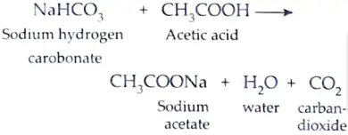 What is observed when a pinch of sodium hydrogen carbonate is added to 2 mL of acetic acid taken in a test tube ? 